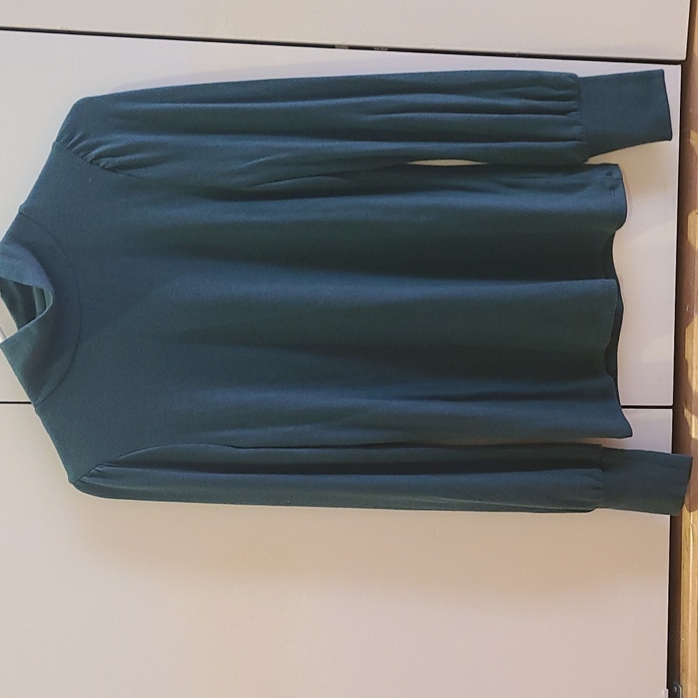 Teal green JCrew sweater